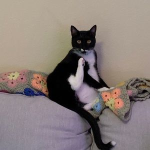 Meet your Posher, Lisa